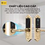 Khóa Cửa Đại sảnh LXR.HB-DS79 MINI