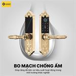Khóa Cửa Đại sảnh LXR.HB-DS79 MINI