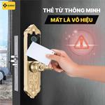 Khóa Cửa Đại sảnh LXR.HB-DS79 MINI