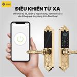 Khóa Cửa Đại sảnh LXR.HB-DS79 MINI