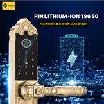 Khóa Cửa Đại sảnh LXR.HB-DS79 MINI